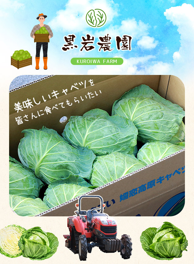 おいしいキャベツをみなさんに食べてもらいたい