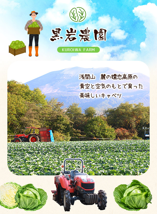 浅間山　麓の嬬恋高原の青空と空気のもとで育ったおいしいキャベツ